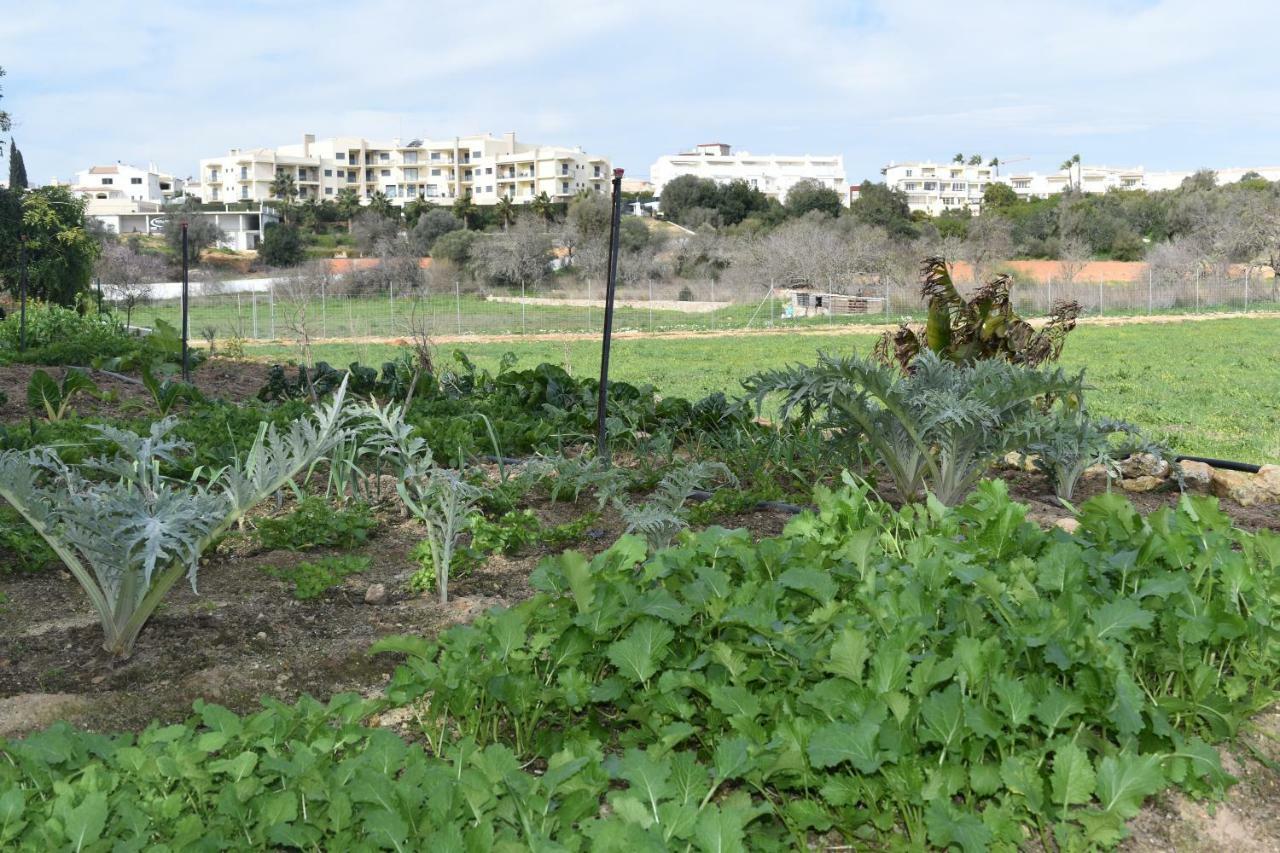 Quinta David Villa Alvor Bagian luar foto